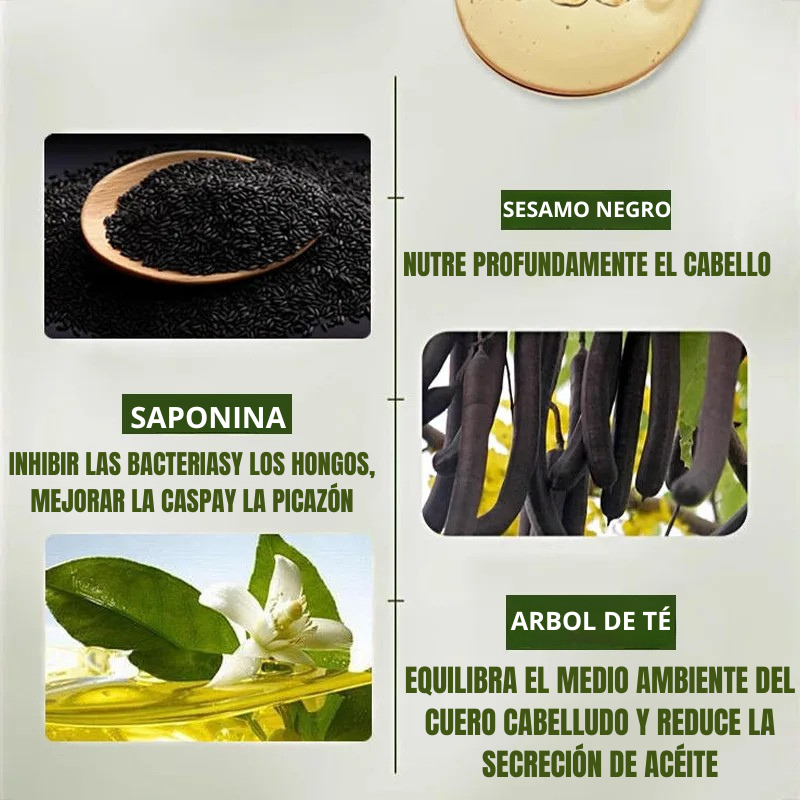 Shampoo a base de hierbas para el crecimiento del cabello